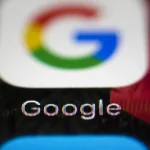 Google bez povolenia vyrúbal vo Fínsku stovky hektárov lesa