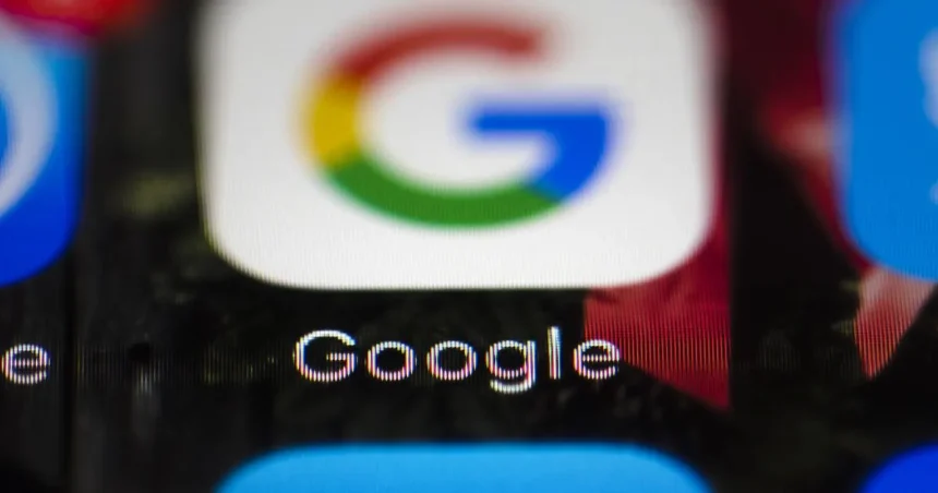 Google bez povolenia vyrúbal vo Fínsku stovky hektárov lesa