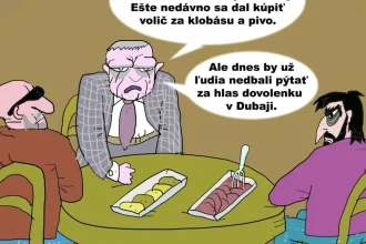 Karikatúra dňa: Drahý volič, toto je odkaz pre teba