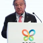 Na konferencii COP17 prijali dohody o zastavení ničenia prírody