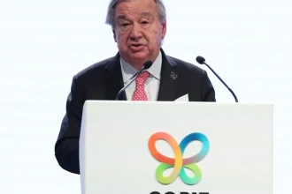 Na konferencii COP17 prijali dohody o zastavení ničenia prírody