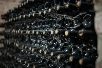 Objavte výnimočné vína z historického vinárstva Marchesi Antinori