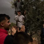 Osadníci na Predjordánsku zaútočili na Palestínčanov a podpálili olivovníky