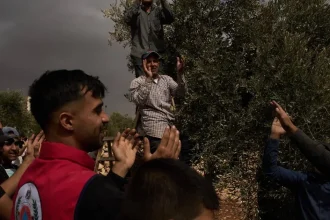 Osadníci na Predjordánsku zaútočili na Palestínčanov a podpálili olivovníky