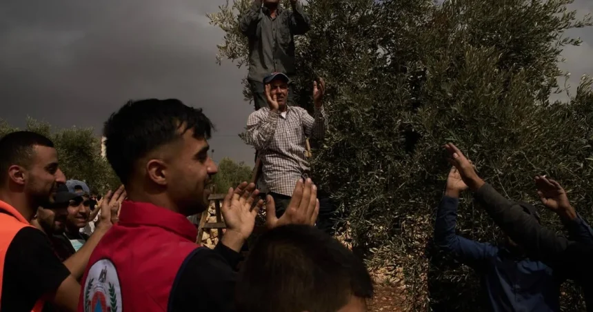 Osadníci na Predjordánsku zaútočili na Palestínčanov a podpálili olivovníky