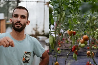 Paradajku z obchodu som si dnes vôbec nekúpil