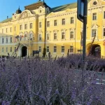 Pravicová koalícia valcovala, viaceré známe mená prepadli, vrátane Tibora Gašpara