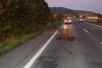 Priemerná škoda v roku 2019 dosahovala určitú úroveň