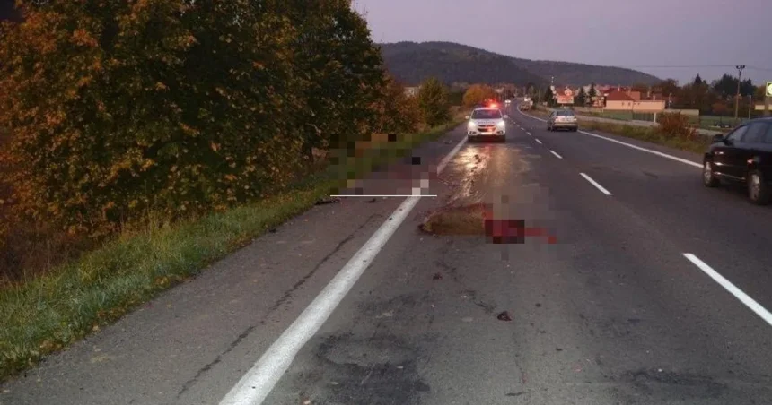Priemerná škoda v roku 2019 dosahovala určitú úroveň
