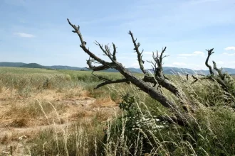 Sucho je najhoršie minimálne od roku 2015, uviedli meteorológovia